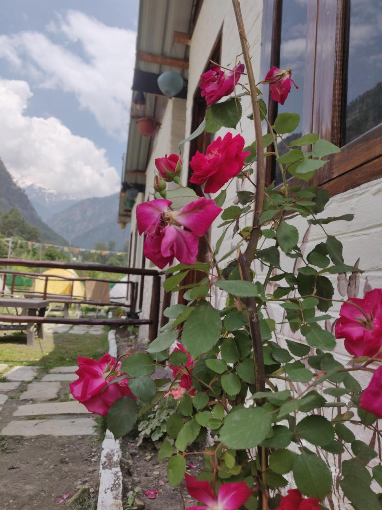Himtrek Stays, Kasol Exteriör bild